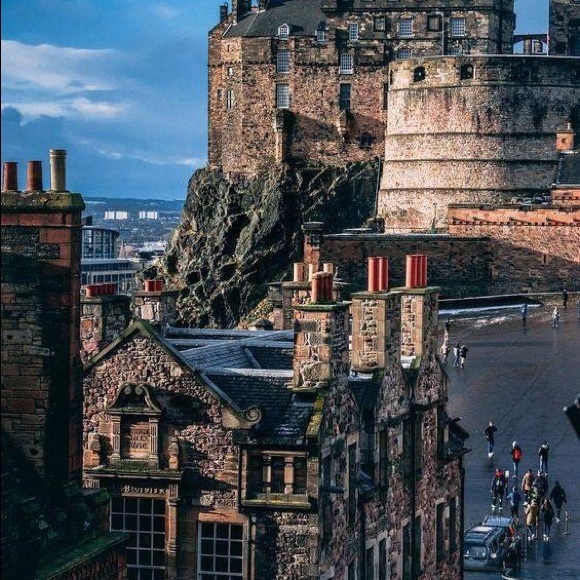 Meet your Posher, Bailey - Picture 1 of 1